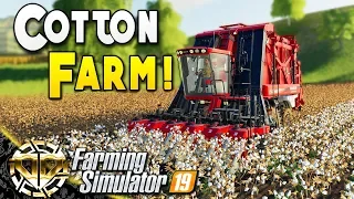 STARTING A COTTON FARM : Farming Simulator 19 Gameplay : Ravenport EP 9