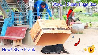 Wow...! Super Huge Box vs Prank Sleep Dogs - New Style New Funniest, Must Watch 2021
