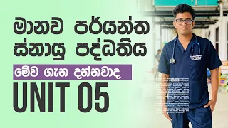 මානව පර්යන්ත ස්නායු පද්ධතිය | Peripheral nervous system | snayu paddathiya |Unit 05 | AL Bio