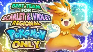 Best Team for Scarlet and Violet Region Mons Only