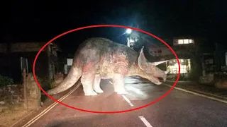 10 DINOSAURS CAUGHT ON TAPE  REAL OR FAKE