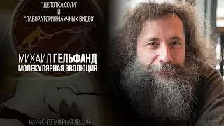 Михаил Гельфанд. Молекулярная эволюция.