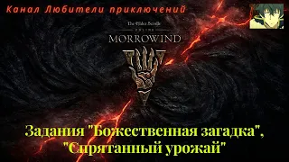 TES Online: Morrowind. Задания "Божественная загадка", "Спрятанный урожай"