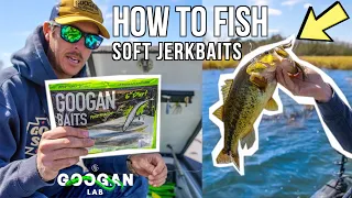 How To FISH SOFT JERKBAITS! ( GOOGAN DART )