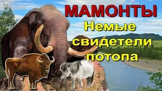 Вечная мерзлота. Мамонты. Немые свидетели потопа.