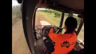 Agri Labour Australia: Mango Harvest 2013