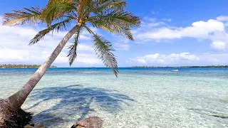Beautiful Island Scene From The Caribbean Archipelago of San Blas