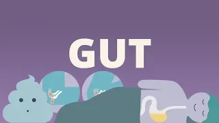 Gut: The Inside Story of Our Body's Most Underrated Organ (Book summary)