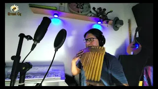 GERONIMO´S CADILLAC - Modern Talking - cover panflute by Ernst Cq