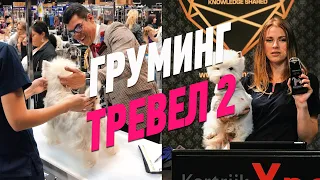 ГРУМИНГ ТРЕВЕЛ 2 / GROOMANIA / ОБУЧЕНИЕ ГРУМИНГУ / GROOM SCHOOL