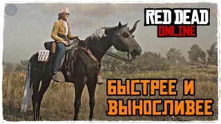 Red Dead Online - Самая Быстрая Лошадь и Лучшее Седло