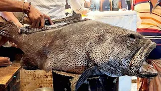 Amazing 22 KG Giant Grouper Fish Cutting In Fish Market | Fish Cutting Skills