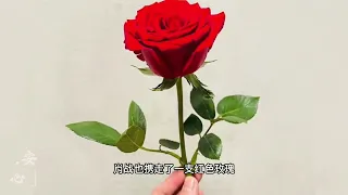 肖戰，那年的花海寫滿了你的名字，紅海的遺憾終于彌补！