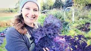 Last Autumn Harvest | Storing in our 1920's Root Cellar