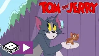 Tom & Jerry Show I Parfüm | Cartoonito Türkiye