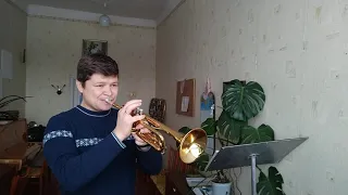 Nirvana. Smells like teen spirit. Cover version on trumpet🎺🤟