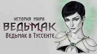 История мира The Witcher: Часть 27. Ведьмак в Туссенте. Цири у эльфов