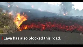 La Palma volcano: Lava destroys homes in the Canary Islands