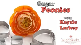 How to Make Peony Sugar Flowers using an Innovative Sugarworks Cutter Set