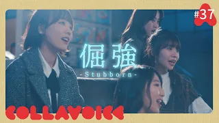 #37 倔強-Stubborn-| 五月天(Mayday) | COVER | COLLAVOICE