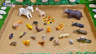 Muddy Adventure with Jungle & Wild Zoo Animals for Kids | Toddler Learning Video