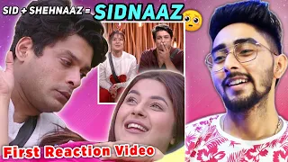 Sidharth + Shehnaaz = Sidnaaz Bigg Boss 13 First Reactio Video Sidharth Shukla and Shehnaaz Gill