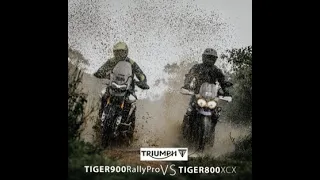 Triumph Tiger 900 Rally Pro Vs Tiger 800 XCx Comparison