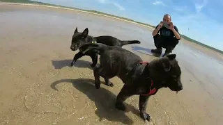 Balade à la plage avec le p'tites V et Ultime