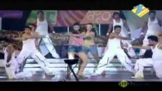 Zee Cine Awards 2011 Jan. 30 '11 Part - 23