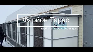 Фарйон Тарас - 1 частина