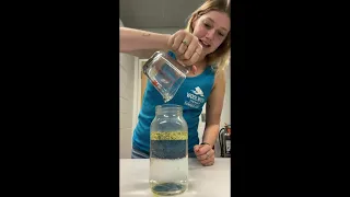 Science Experiment Fireworks in a Jar