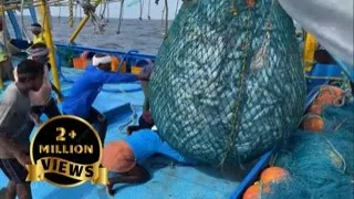 Kanyakumari Christy Boat Fishing      #trevally #kanyakumari #fishing #boating #life #sailing #work