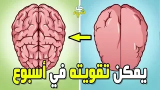 ٩ دلائل تثبت أن (عقلك يمكن تقوية قدراته) في أسبوع واحد.. جرب وستذهلك النتائج