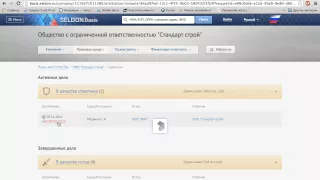 6671376130 — проверка контрагента в системе Seldon.Basis