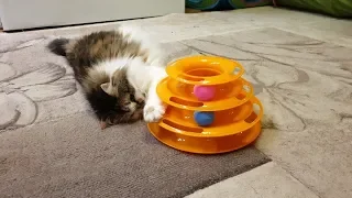 Китайская игрушка для кошек
