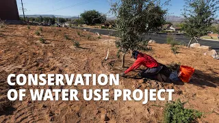 Practicing Good Stewardship: How the Church of Jesus Christ Is Reducing Water Use
