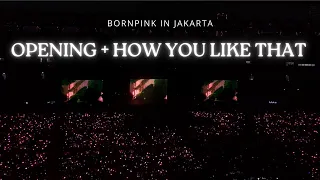 OPENING + HOW YOU LIKE THAT - BLACKPINK | Bornpink in Jakarta Day 1