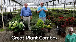 Great Plant Combos