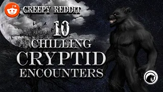 10 Terrifying Cryptid Stories: Dark Secrets Uncovered