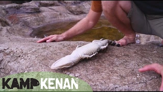 How to HYPNOTIZE an Alligator : Kamp Kenan S3 Episode 19