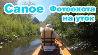 Каноэ | Canoe | Закрытие летнего сезона | Фотоохота на уток | Преодоление узких водных артерий