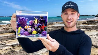 The World’s Smallest Tide Pool Aquarium!