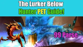 Lurker Below Hunter Pet Placement Guide! Get Easy 99 Parses - Classic TBC