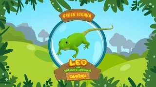 Green Iguana - Leo The Wildlife Ranger Animal Diaries | Animal Facts for Kids