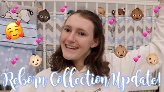 My Reborn Collection Update! | Kelli Maple