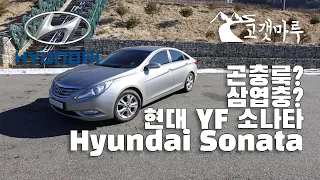 곤충룩, 삼엽충? 현대 YF 소나타 Hyundai Sonata [차량리뷰] 이민재