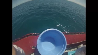 Fishing in New-Caledonia at Pouembout