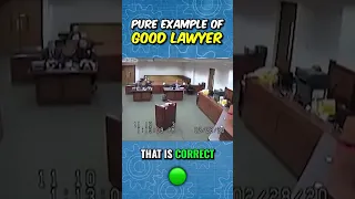 Pure Example of GOOD LAWYER!
