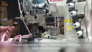 Máquina pega elástico Pegasus | Casa Berelsonas