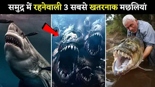 😱 समुद्र में रहनेवाली 3 सबसे खतरनाक मछलियां 🐟 | 3 Most Deadliest Fish In The World | #shorts #facts